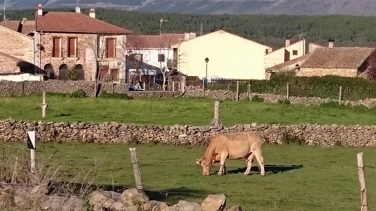 Posada La Fragua Gandullas Екстериор снимка